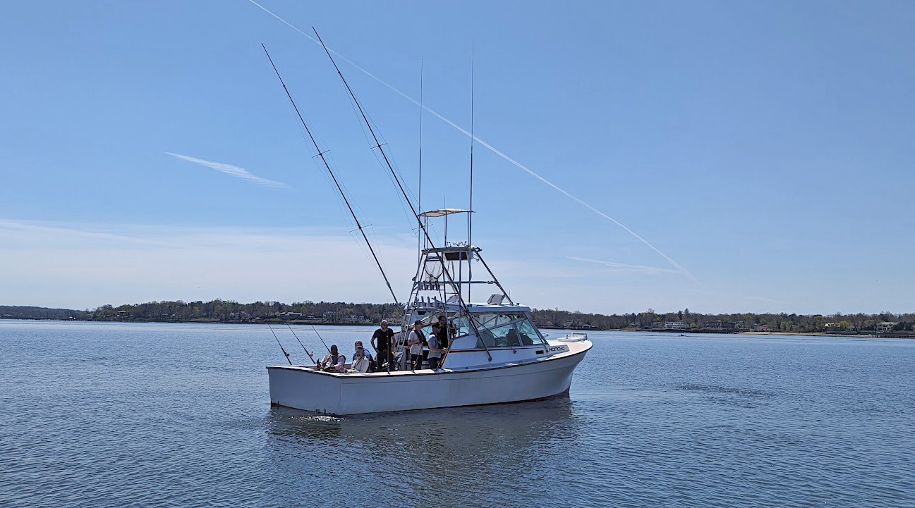 Picture Boat - Image 12